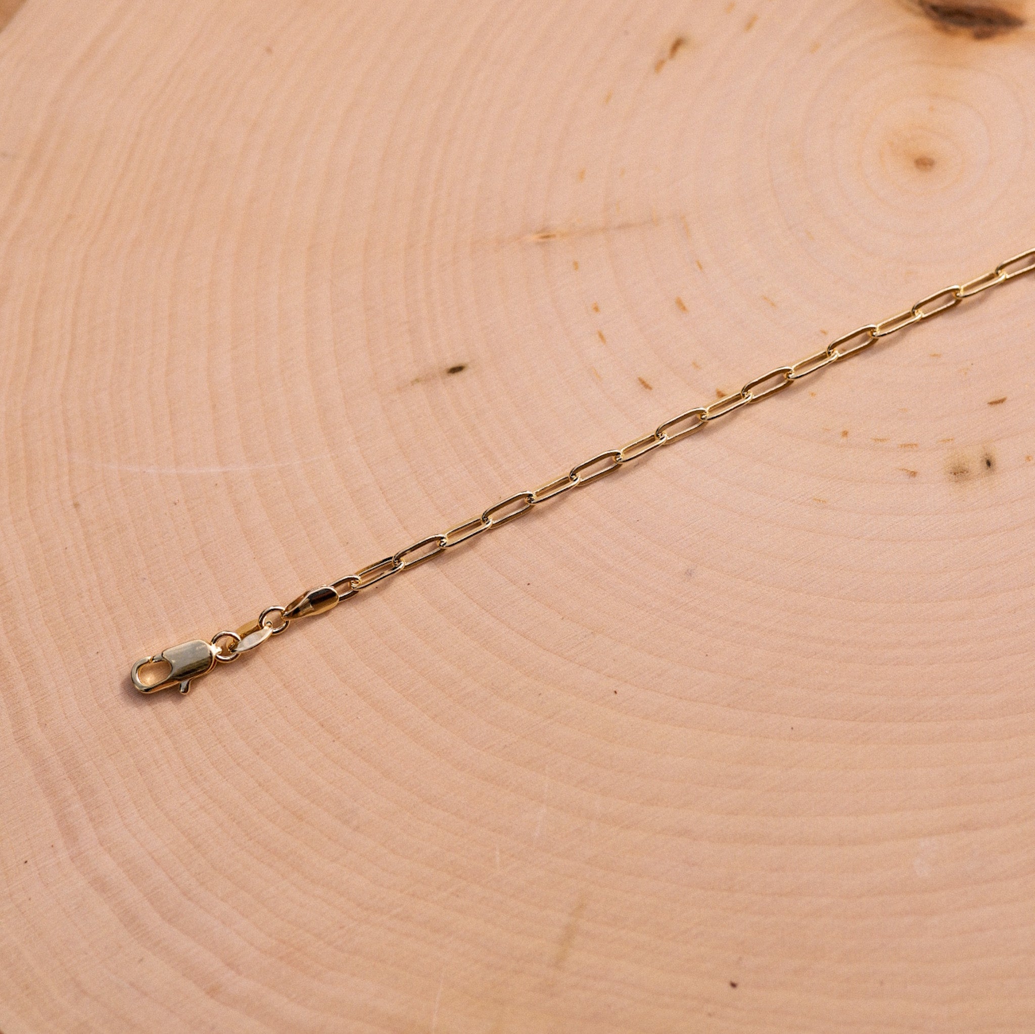 Gold Filled Paperclip Bracelet