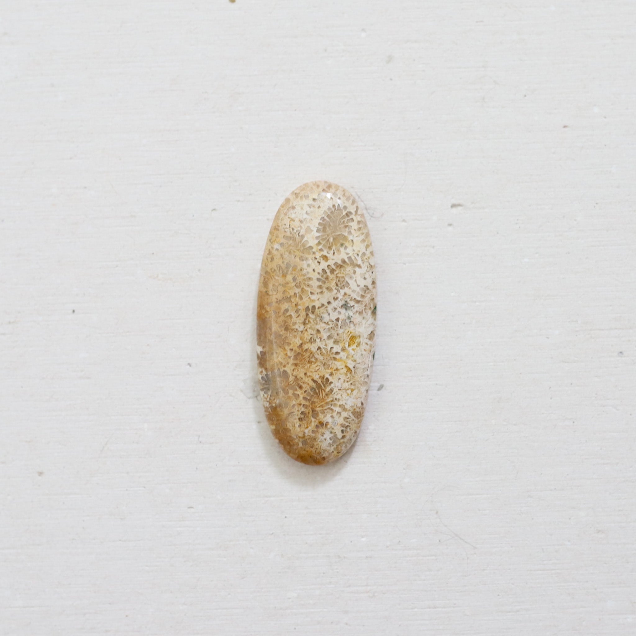 Custom Coral Fossil Ring