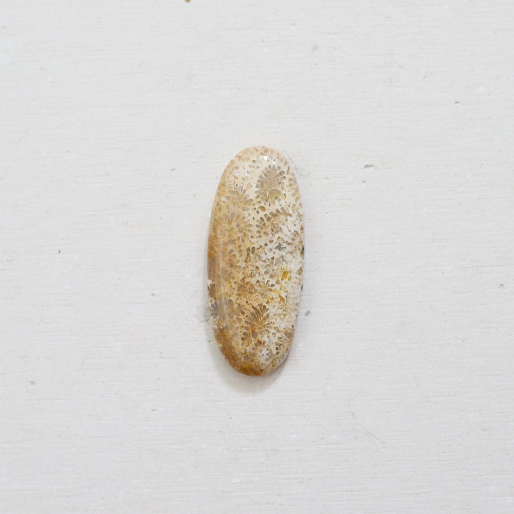 
            
                Load image into Gallery viewer, Custom Coral Fossil Ring
            
        