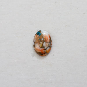 
            
                Load image into Gallery viewer, Custom Spiny Oyster Mohave Turquoise
            
        